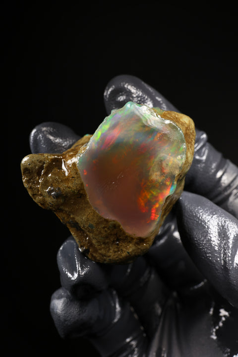 31.46g Rough Specimen