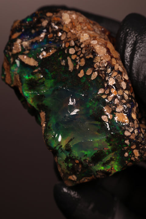 66.50g Rough Specimen