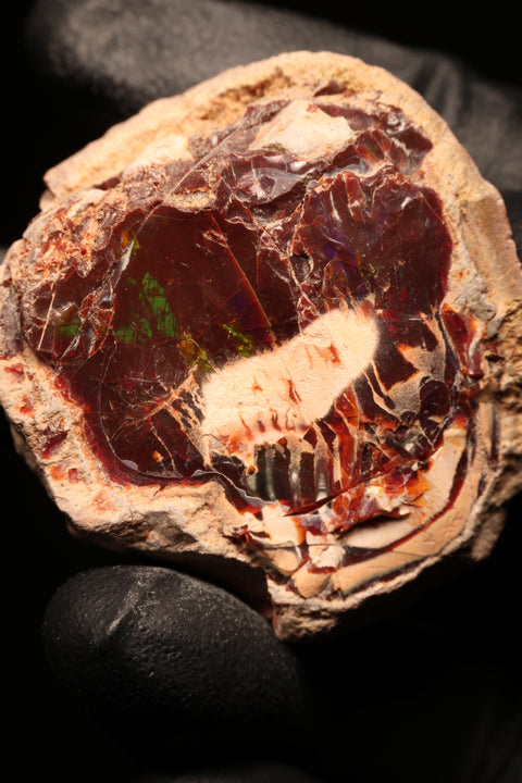 47.08g Rough Chocolate