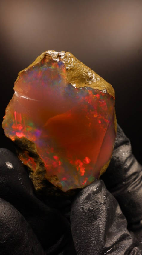 42.51g Rough Specimen