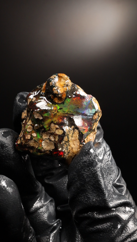 19.50g Rough Specimen