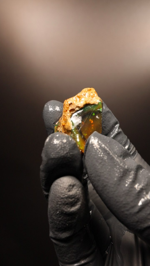10.89g Rough Specimen
