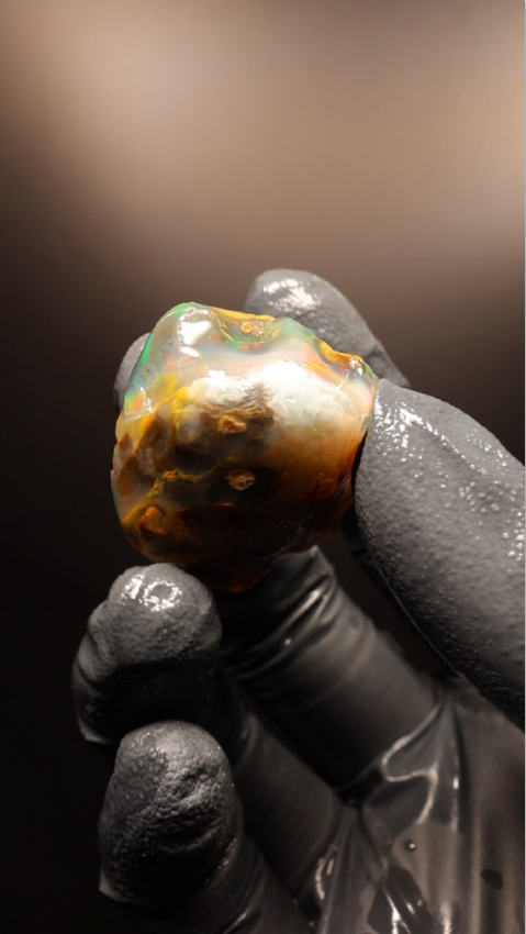 12.72g Rough Specimen