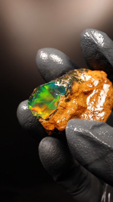 12.30g Rough Specimen