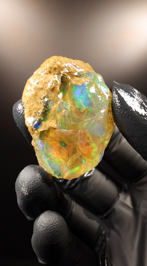 22.60g Rough Specimen
