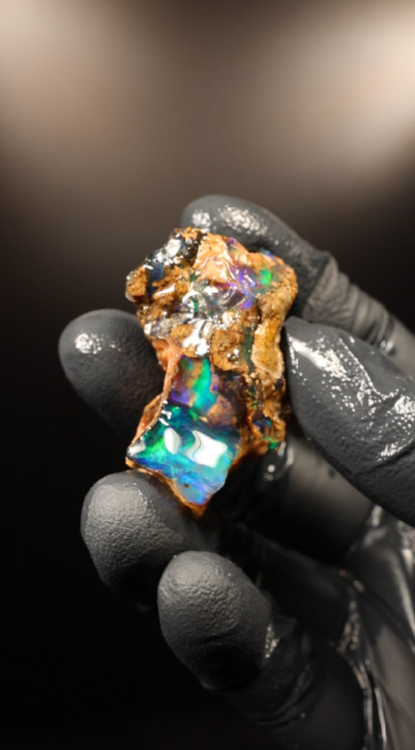 12.78g Rough Specimen