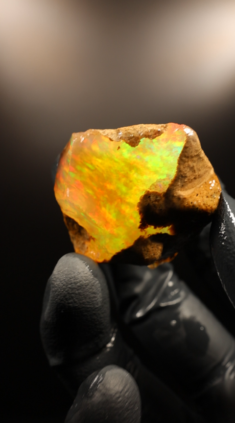 21.33g Rough Specimen