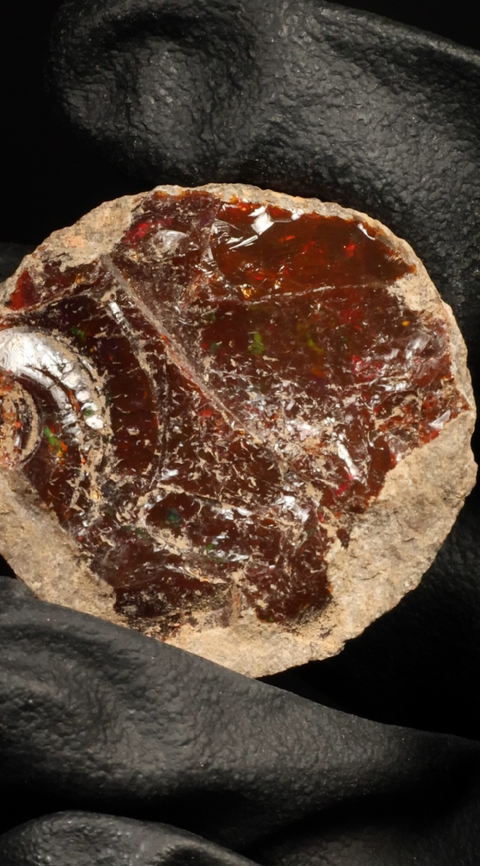 14.38g Rough Single Chocolate