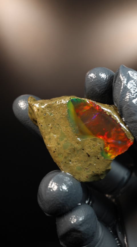 19.84g Rough Specimen