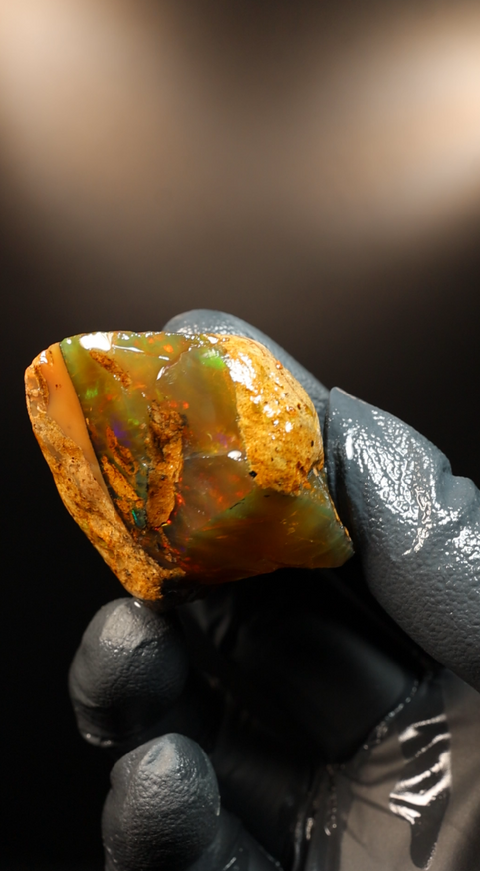 25.09g Rough Specimen
