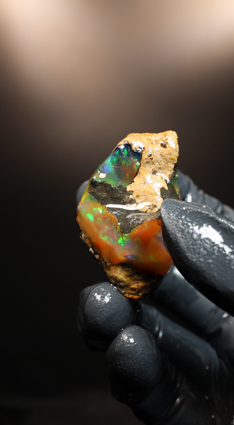 18.95g Rough Specimen