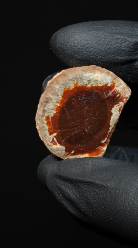 8.11g Rough Single Chocolate