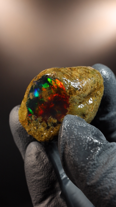 24.12g Rough Specimen