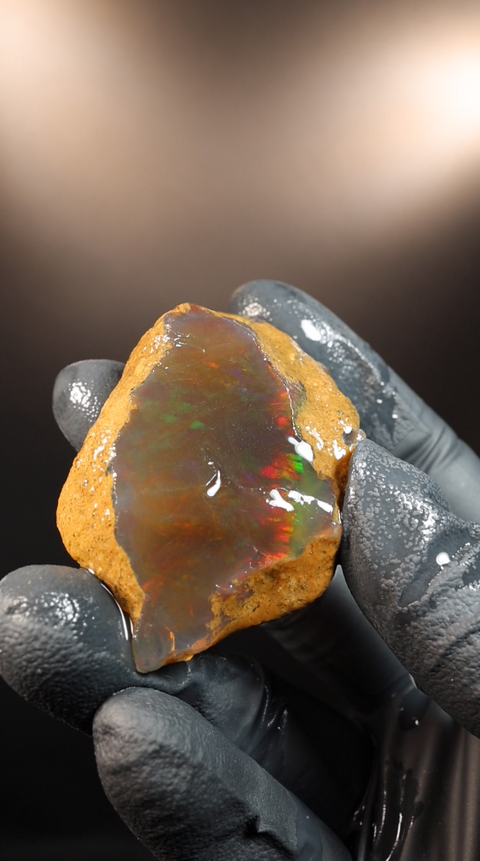 24.83g Rough Specimen