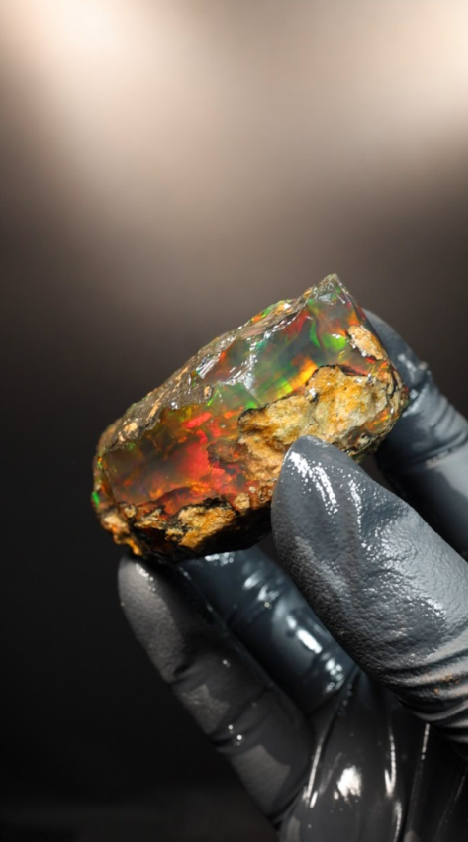 64.01g Rough Specimen