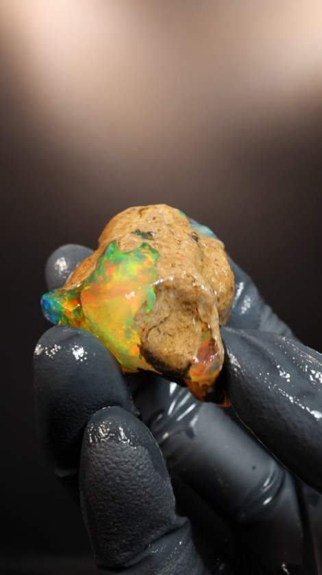 31.21g Rough Specimen
