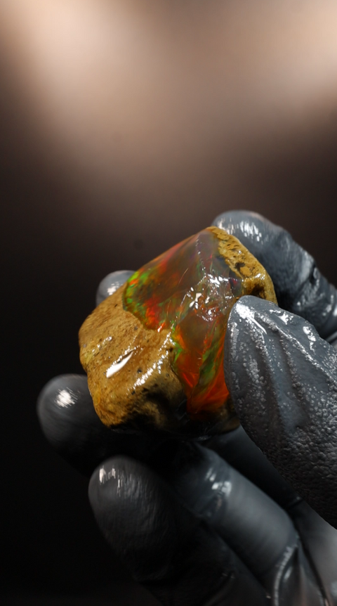 25.90g Rough Specimen