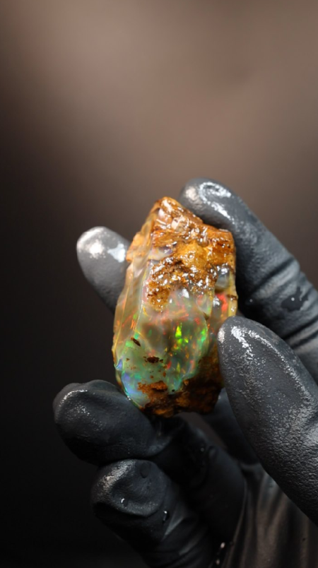 24.93g Rough Specimen