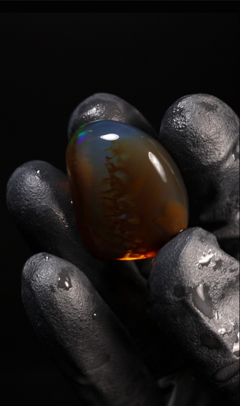49.95ct Polished Specimen