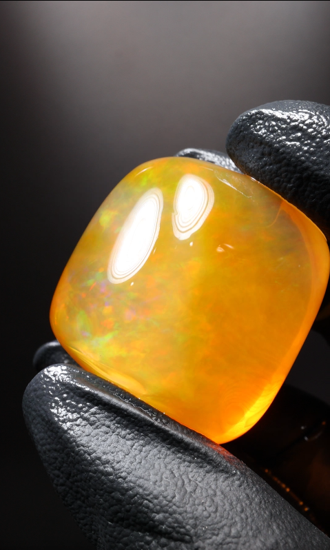 195.00ct Polished Specimen