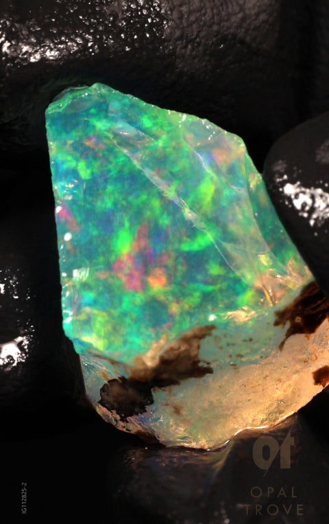 3.63g Rough Chalk Opal