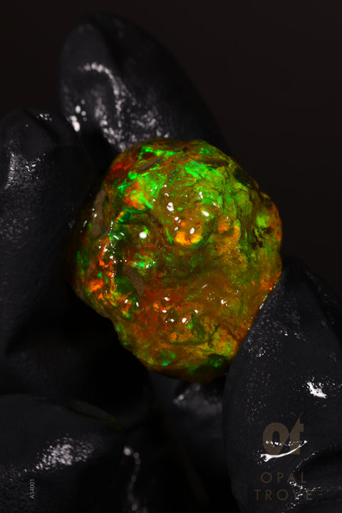 13.42g Rough Welo Ethiopian Specimen Opal