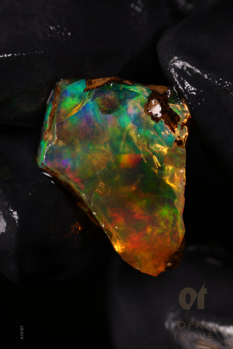 2.64g Rough Welo Ethiopian Specimen Opal