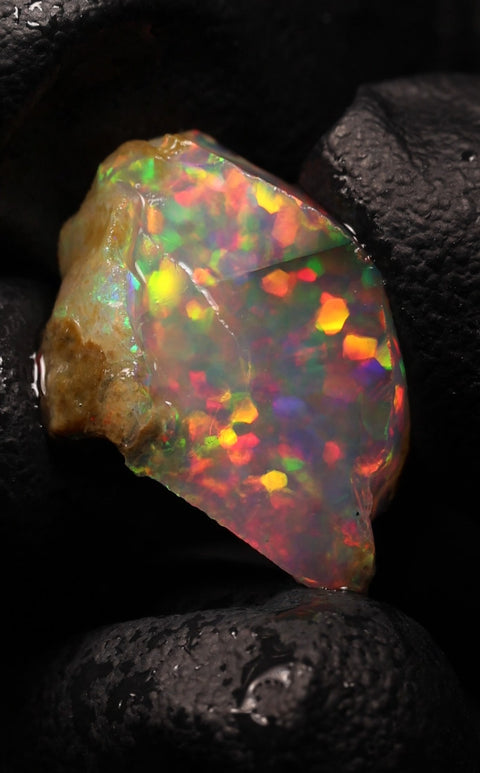 1.34g Chalk Opal
