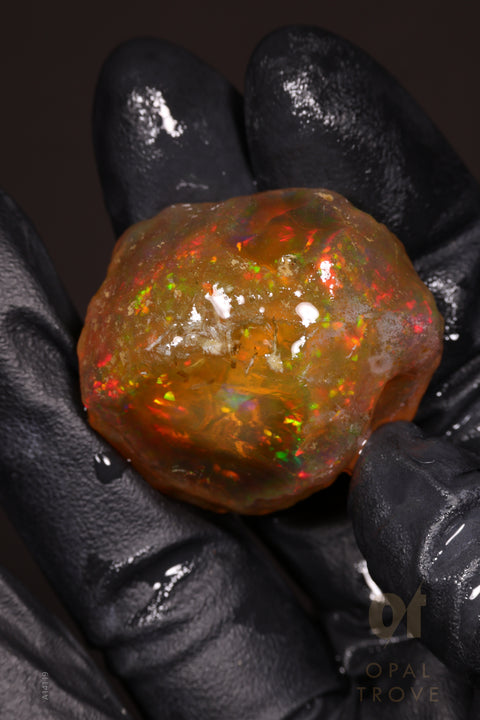25.20g Rough Welo Ethiopian Specimen Opal