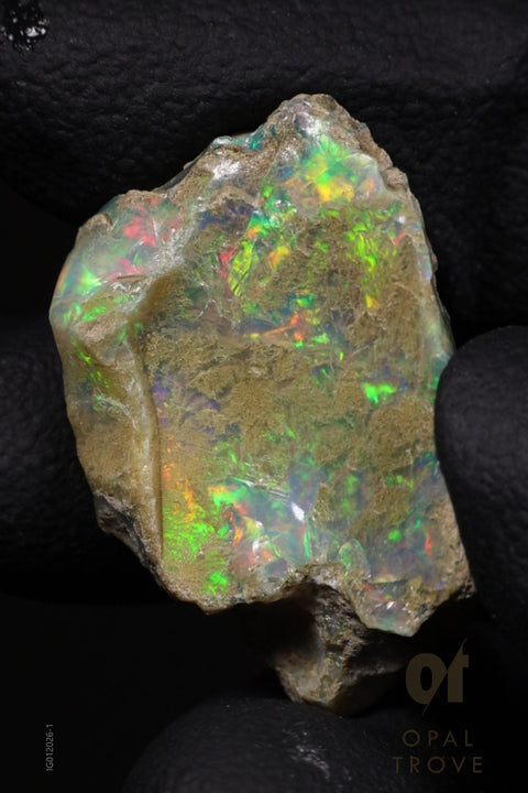 4.77g Rough Ethiopian Jewelry Grade Welo Opal