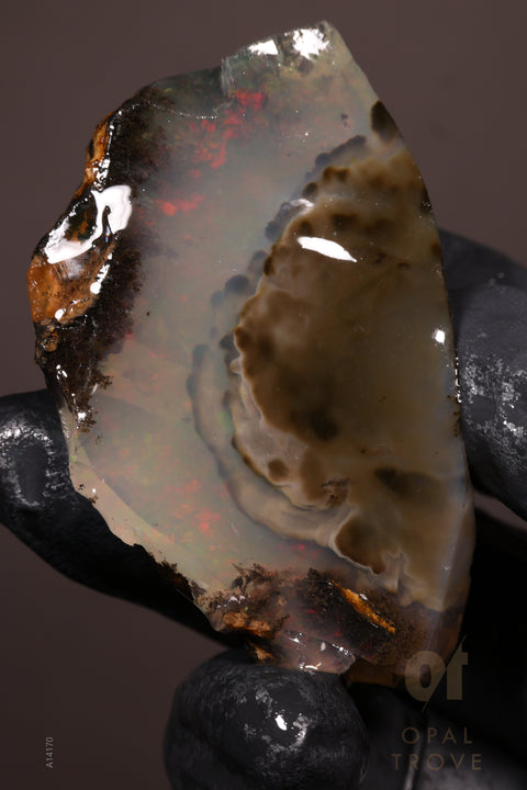 48.78g Rough Welo Ethiopian Specimen Opal