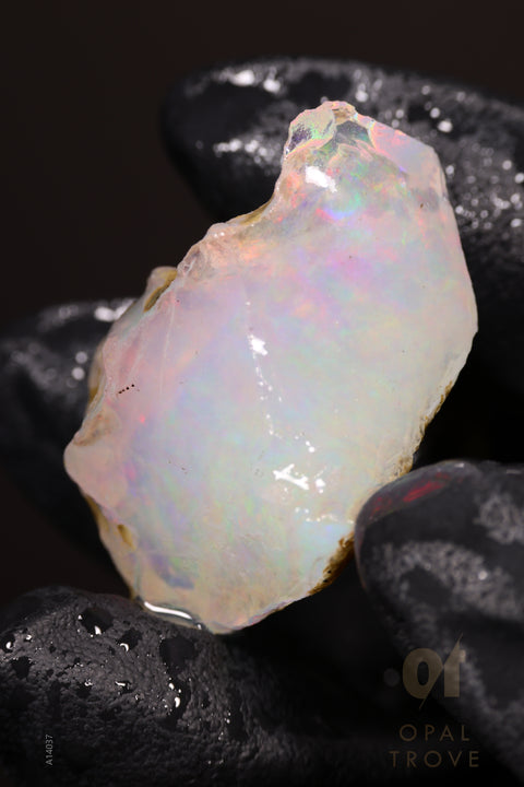 11.77g Rough Welo Ethiopian Specimen Opal