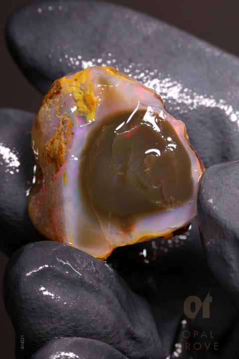 8.40g Rough Welo Ethiopian Specimen Opal