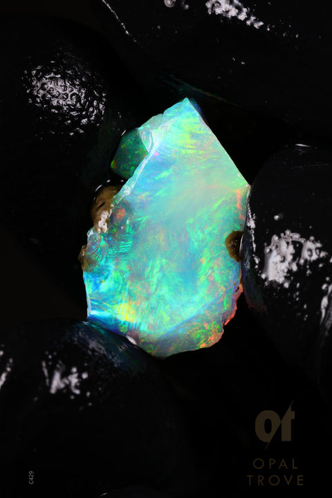 0.88g Rough Ethiopian Chalk Opal