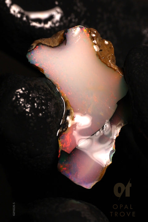 0.81g Rough Ethiopian Chalk Opal