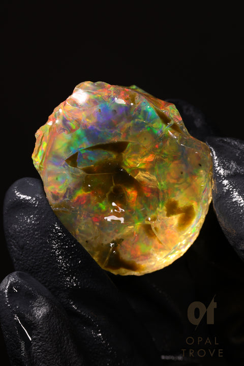 22.50g Rough Welo Ethiopian Specimen Opal
