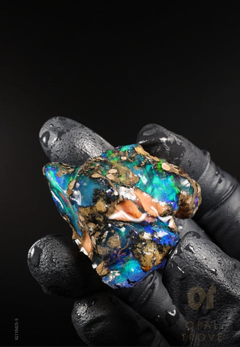 19.56g Rough Specimen