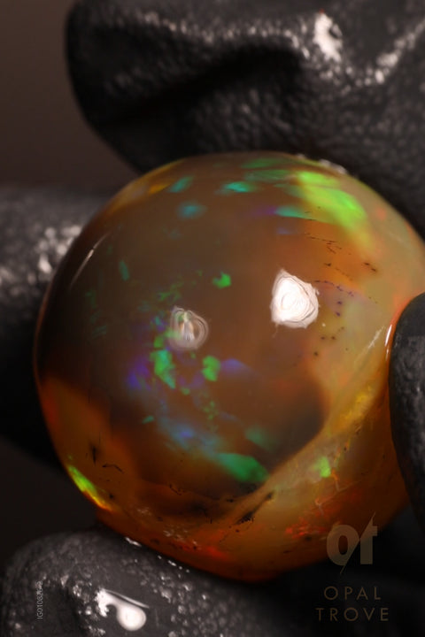 44.80ct Polished Ethiopian Specimen Welo Opal