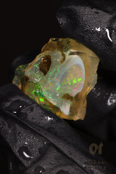 4.71g Rough Welo Ethiopian Specimen Opal