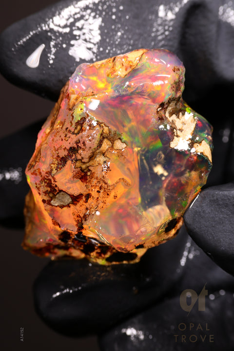 18.07g Rough Welo Ethiopian Specimen Opal
