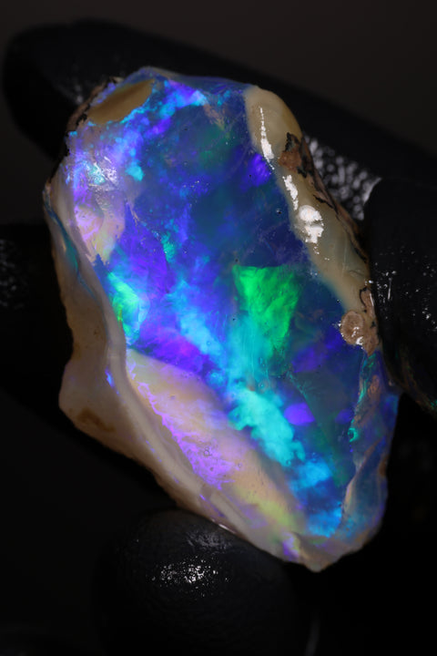 19.56g Rough Specimen