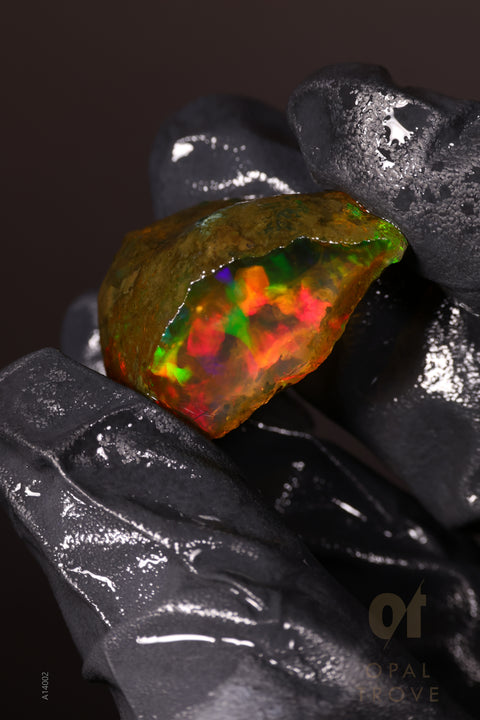 11.26g Rough Welo Ethiopian Specimen Opal