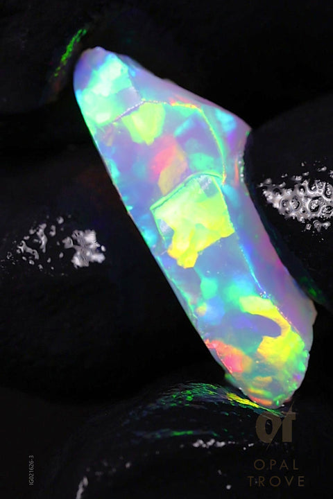 0.92g Rough Ethiopian Chalk Opal