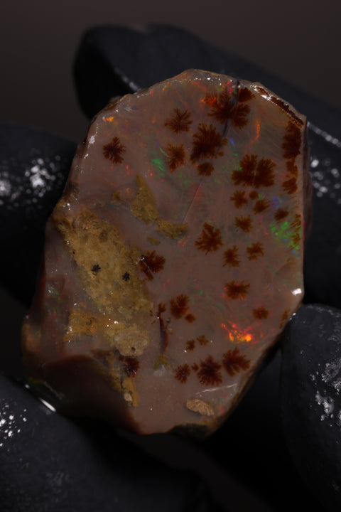 12.72g Rough Specimen