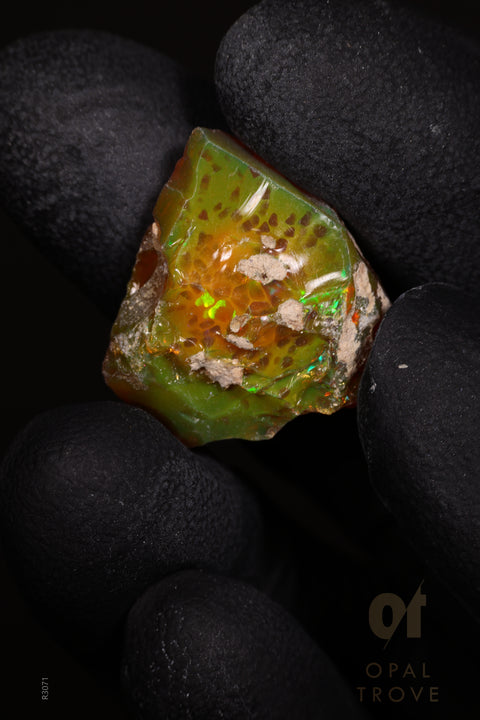 2.00 Rough Ethiopian Jewelry Grade Welo Opal