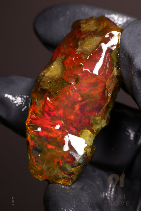 26.55g Rough Welo Ethiopian Specimen Opal