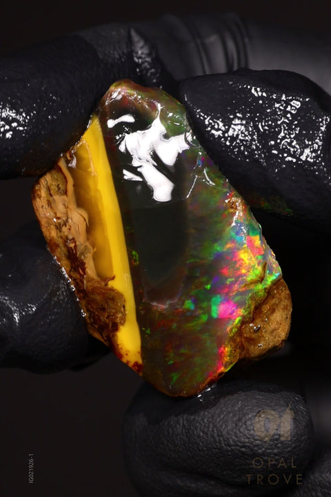 9.51g Rough Welo Ethiopian Specimen Opal