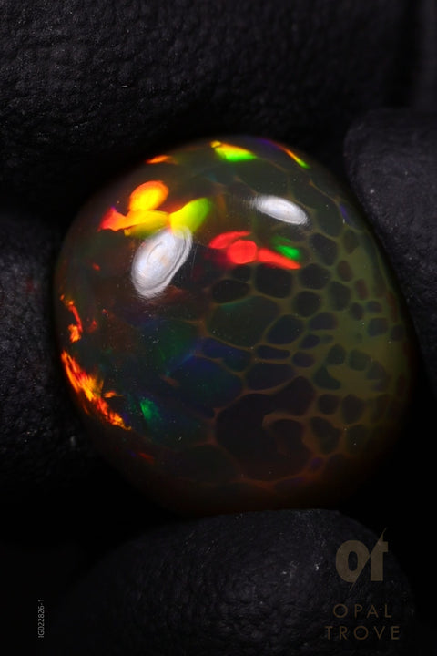 13.55ct Natural Ethiopian Round Cabochon