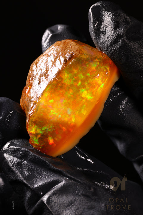 19.02g Rough Welo Ethiopian Specimen Opal