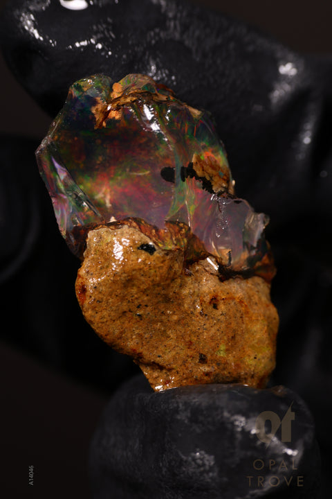 6.58g Rough Welo Ethiopian Specimen Opal